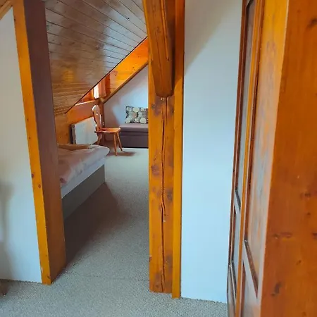 Jonasuv Mlyn Guest House Zhor u Mlade Vozice Exterior photo