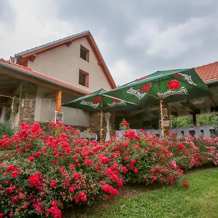 Jonasuv Mlyn Guest House Zhor u Mlade Vozice Exterior photo