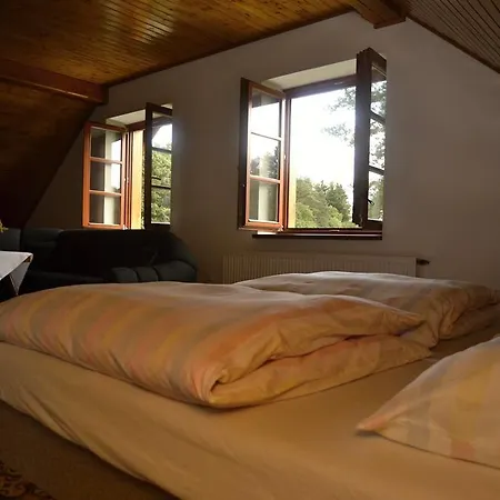 Jonasuv Mlyn Guest House Zhor u Mlade Vozice Room photo