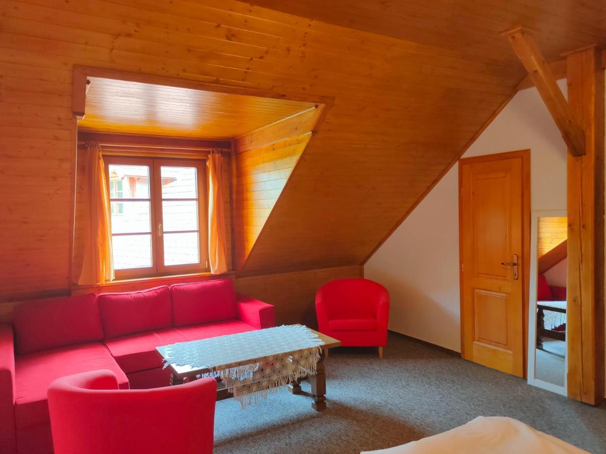 Country house Jonasuv Mlyn Zhor u Mlade Vozice