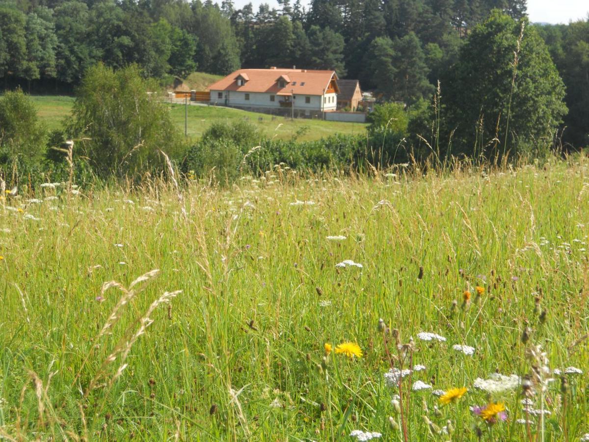 Jonasuv Mlyn Country house *