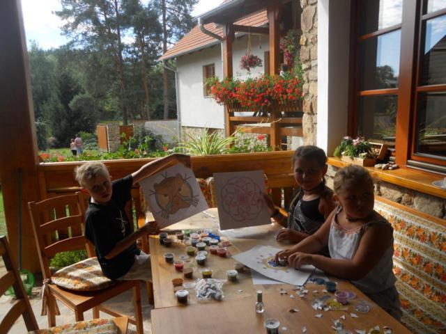 Country house Jonasuv Mlyn Zhor u Mlade Vozice