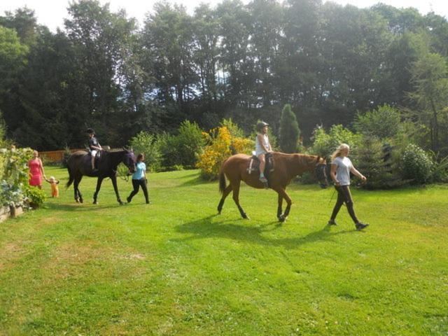 Jonasuv Mlyn Country house