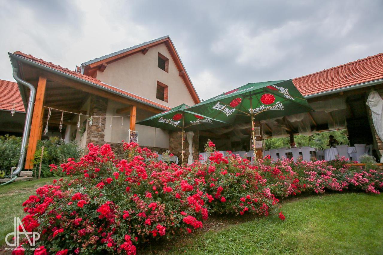Country house Jonasuv Mlyn Zhor u Mlade Vozice