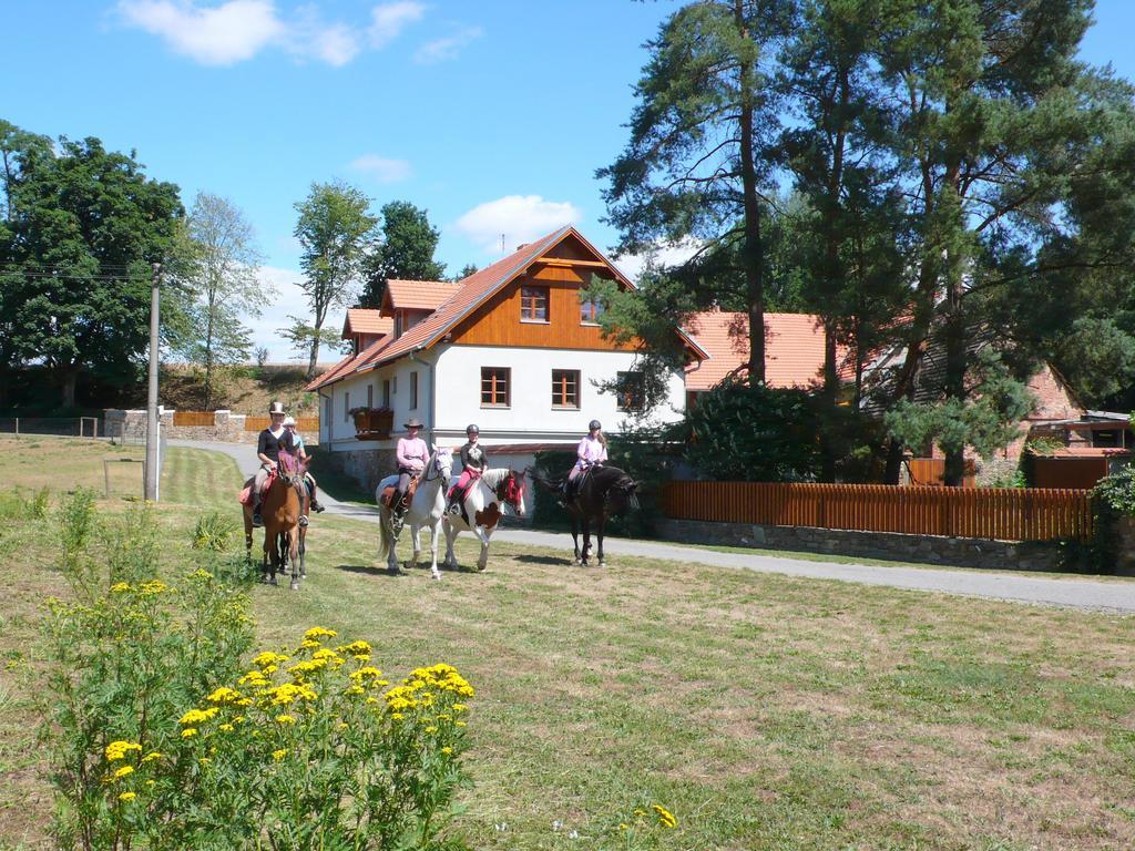 Jonasuv Mlyn Country house *